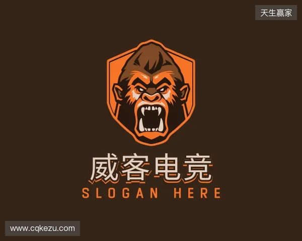 知道威客电竞(vkgame)